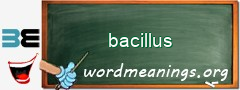 WordMeaning blackboard for bacillus